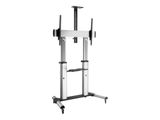 Equip Bodenstandhalter 60"-100"/1TFT 100kg 2Ablagen schwarz lite Retail