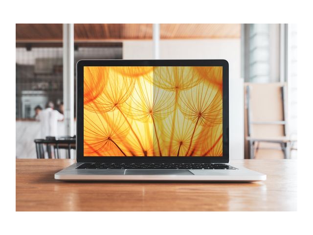 3M Bright Screen Blickschutz 13.3"  16:10 BP133W1B